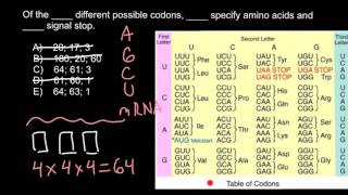 Codons and Amino acids [upl. by Recneps]