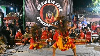 MALAM SURO AKSI BUJANG GANONG BARONGAN WARINGIN SETO KUMBANG JOYO LIVE JEPON [upl. by Adeline]