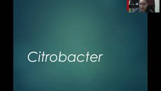 CITROBACTER [upl. by Lore547]