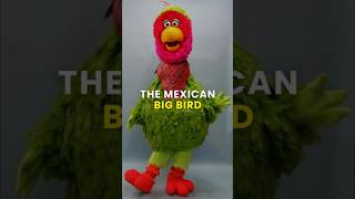 Meet Abelardo Montoya the Mexican Big Bird sesamestreet plazasesamo bigbird funfacts shorts [upl. by Bilek341]