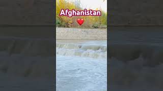 Wardak ❤️ [upl. by Isayg85]