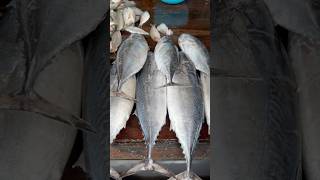 Amazing Fish cutting skills Sri Lankan Fish Cutting Master shortvideo shorts [upl. by Possing]