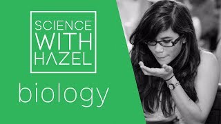 Specialised Cells  GCSE Biology Revision  SCIENCE WITH HAZEL [upl. by Johnnie]