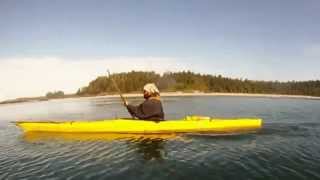 How To Kayak  sea kayak forward stroke [upl. by Ethelda]