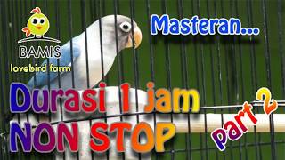 Masteran Lovebird 1 jam nonstop ngekek panjang kusumo  part 2   BAMIS LOVEBIRD farm [upl. by Dnomra]