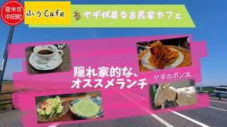 【ふぅcafe 登米市】人間大好きな優しいヤギの居る、隠れ家的な場所の癒やし、カフェレストラン。 [upl. by Enirolf]