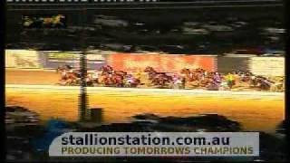 The last harness race at Moonee Valley [upl. by Betthezul]