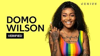 Domo Wilson quotBisexual Anthemquot Official Lyrics amp Meaning  Verified [upl. by Divod]