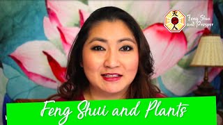 Feng Shui and Plants [upl. by Ysset]