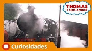 Thomas e Seus Amigos A Locomotiva a Vapor [upl. by Santiago]