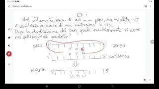 Esercizio su trascrizione e traduzione mutazione puntiforme [upl. by Itsirhc]