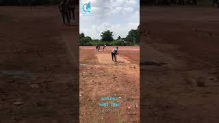 ABIN REALTECH  CHUNGAM SOFTBALL PREMIERE LEAGUE S1cricket mallucricketers keralacricketer mallu [upl. by Oaks]