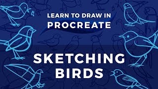 Learn to Draw in Procreate  Sketching Birds [upl. by Janela]