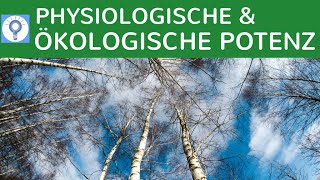 Physiologische und ökologische Potenz einfach erklärt  Wettbewerbs amp Verdrängungsprozesse Bäume [upl. by Delmer]