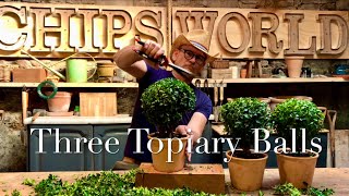 A Calm Relaxing Topiary day in the Potting Shed topiarytrimming topiaryballs topiary [upl. by Ylim]