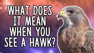 What Does It Mean When You See a Hawk [upl. by Elfstan]