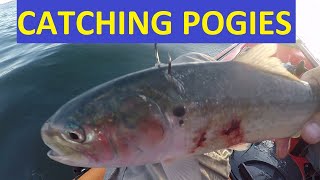 Pogies Menhaden or Bunker How to Catch as Bait for Kayak Fishing Wilderness Systems Tarpon 100 [upl. by Ideih]