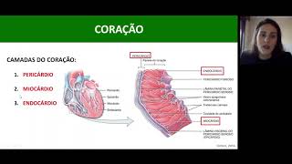 AULA 2  Sistema cardiovascular e Envelhecimento [upl. by Cheston175]