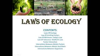 Laws of ecology part 2 [upl. by Mahgirb]