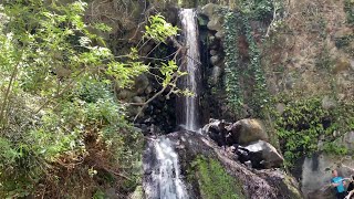 Barranco de los Cernícalos  Telde junio 2020 [upl. by Chicoine548]