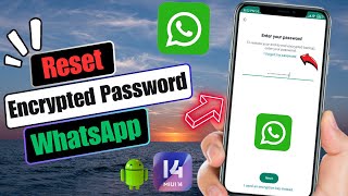 How To Reset Encrypted Password On WhatsApp  Recover WhatsApp Encrypted Password 2024 [upl. by Morganstein750]