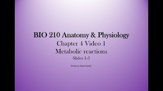 Chapter 4 video 1 Metabolic reactions slides 24 [upl. by Pegeen]