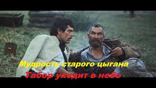 Кто больше знает дурак или мудрец  Много мудрости  много печали [upl. by Maryann]