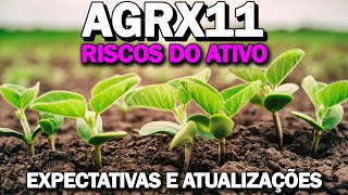 AGRX11 NOVO RELATÓRIO ENTENDA OS RISCOS [upl. by Fernandez]