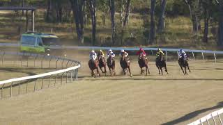 Gayndah 20240608 Race 4 [upl. by Atelra]