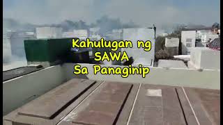 KAHULUGAN NG SAWA SA PANAGINIP [upl. by Nyvar]