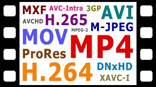 Explaining Digital Video Formats Codecs amp Containers [upl. by Nyrtak]