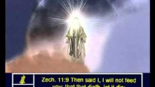 Zechariah  11 English Picture Bible [upl. by Gujral599]