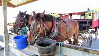 Amish Village Lancaster Pennsylvania [upl. by Ssidnac]