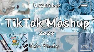 TikTok Mashup November 2024 💦not clean💦 [upl. by Goltz]