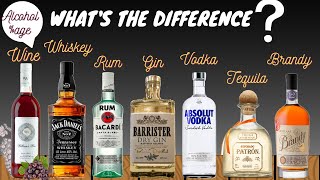 Difference between Alcoholic Beverages WineWhiskeyRumGinVodkaTequilaBrandyAlcohol percentage [upl. by Nett]