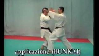 WKF  BASSAI SHO  BUNKAI [upl. by Furey]