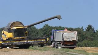 Weizen Dreschen im August 2017 irgendwo der Eifel mit New Holland CX 9080 am Hang [upl. by Older965]