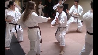 passing karate to the next generation [upl. by Yerag]