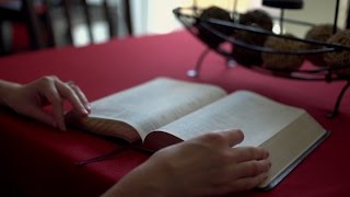 Por qué traducir la Biblia [upl. by Pilloff]