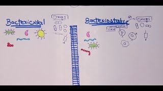 Difference between bacteriostatic and bactericidal drugs urduhindi [upl. by Ilesara]