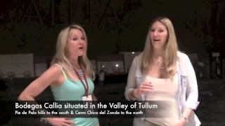 Bodegas Callia in San JuanArgentina The Wine Ladies TV March 2013 [upl. by Pomona]