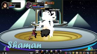 Aqw TIBICENAS SOLO with Archpaladin amp Shaman class [upl. by Eenimod]