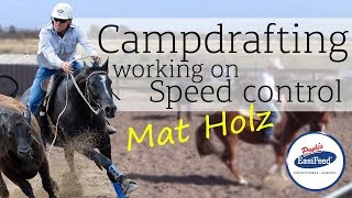 How to work on speed control in campdrafting [upl. by Attennot]