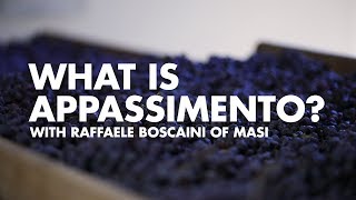 What is Appassimento With Raffaele Boscaini of Masi  Sip Trip Shorts [upl. by Kcirnek]