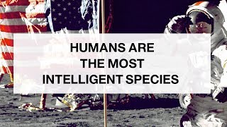 We Are More Intelligent Than Animals [upl. by Paver]