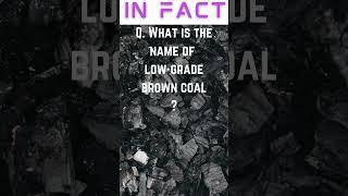 How Strong Is Your General Knowledge  shorts youtubeshorts  Low Grade Brown Coal [upl. by Guyon]