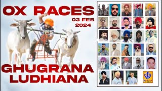 🔴Live Ghugrana  Ludhiana  Ox Races  03 Feb 2024 [upl. by Oecam]