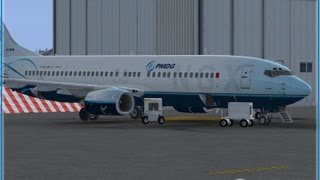 PMDG 737 NGX [upl. by Wilser]