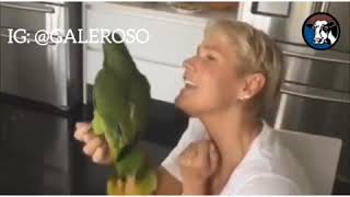 XUXA CANTANDO COM O PAPAGAIO [upl. by Erland]