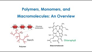 Principles of Polymer Chemistry Monomers Polymers And Macromolecules An Overview Lect 1 [upl. by Kwang171]